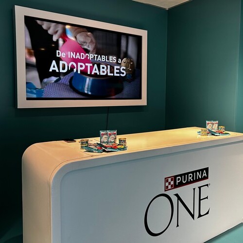 Purina abre un espacio inmersivo en Madrid para concienciar sobre cómo un sesgo humano puede influir en la adopción de gatos