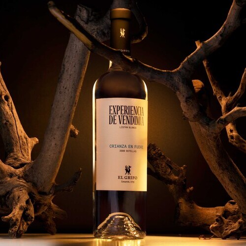 El Grifo Crianza en Fudre 2024, el vino que marca un nuevo capítulo en la apuesta por las variedades singulares de Lanzarote y los vinos de guarda