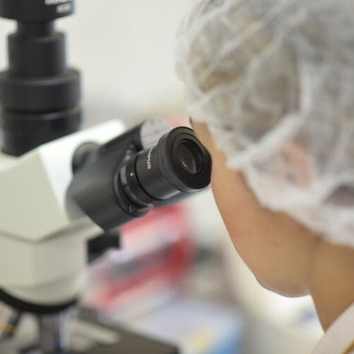 El bio-inhibidor NSAFE® de Fertiberia llega a Países Bajos y Alemania