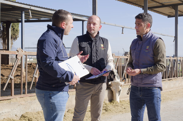 canaldis-csic-lactalis-colaboracion