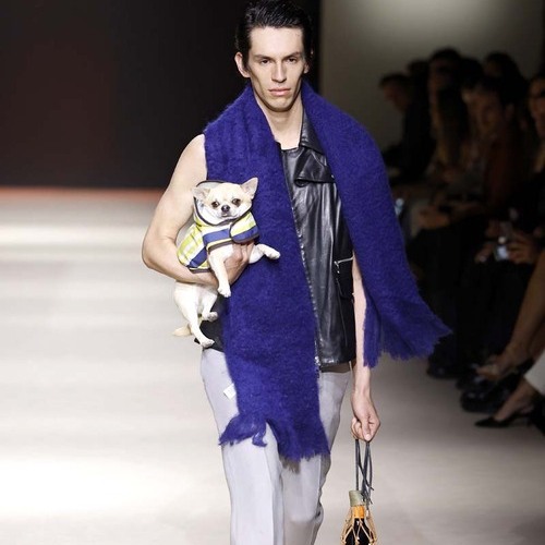 Kiwoko y el diseñador Pablo Erroz llevan su compromiso real con la adopción animal responsable a la Mercedes‑Benz Fashion Week