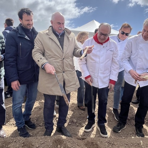 La recogida del primer Espárrago de Navarra reúne al sector agroalimentario en Azagra