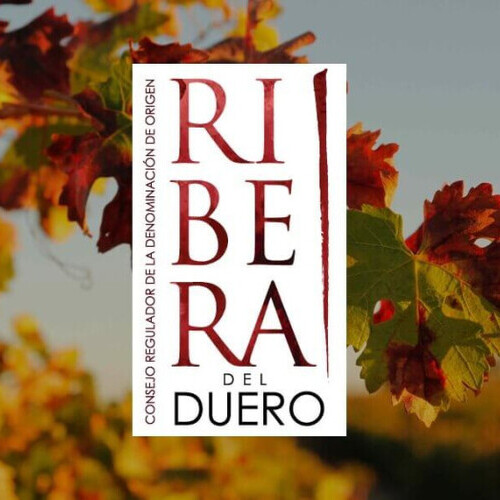 Las exportaciones de 2025 confirman la solidez internacional de los vinos de la D.O. Ribera del Duero