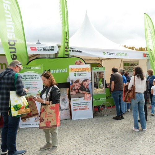 Casi 3.000 animales encuentran hogar en 2025 gracias a Tiendanimal, que refuerza su impacto social en favor del bienestar animal