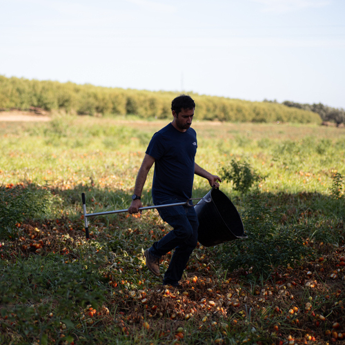 Unilever refuerza su compromiso con la seguridad hídrica y la agricultura regenerativa para cuidar del planeta