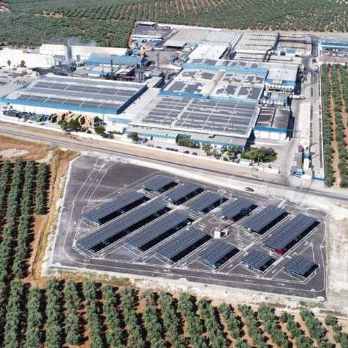 Agrosevilla compra Rioverde y refuerza su expansión en el mercado de encurtidos
