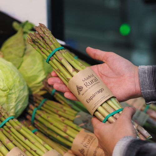 Alcampo y Madrid Rural impulsan el espárrago madrileño tras aumentar más de un 43% el volumen de producto local