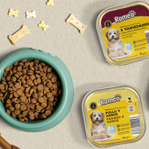 En ALDI cuidar bien a tu mascota cuesta muy poco: comida húmeda al mejor precio