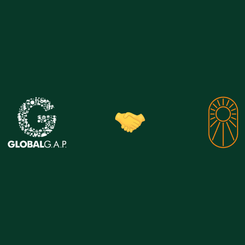 Fruits Ràfols renueva GLOBALG.A.P. CoC: trazabilidad real en la cadena de suministro