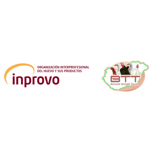 INPROVO trabaja en la nueva campaña europea para revalorizar el huevo como alimento natural, sostenible y saludable
