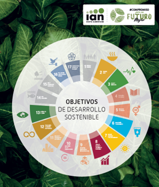 canaldis-grupo-ian-presentacion-plan-sostenibilidad-rsc-2026-2030-objeticos-ods