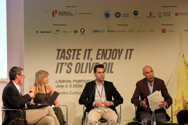 canaldis-oowc-primer-dia-jornada-mesa-redonda